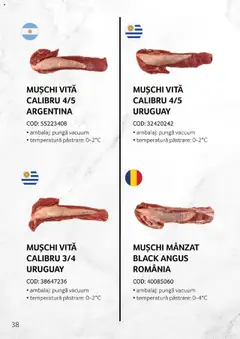 Ofertele Selgros valabile de la 27.04.2023 | Pagină: 38 | Produse: Pungă