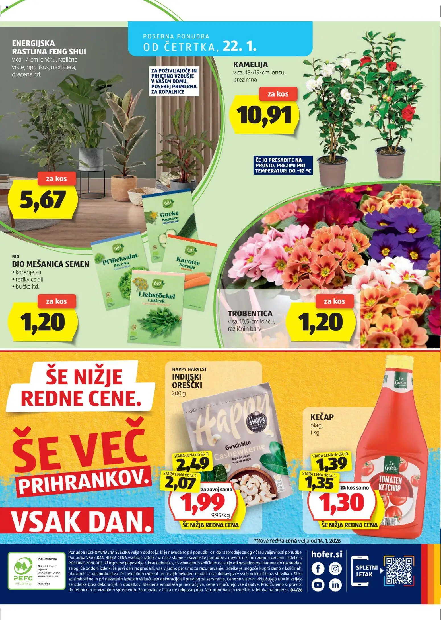 Hofer SI katalog | vrijedi od 14.01.2026 | Stranica: 32 | Proizvodi: Kečap