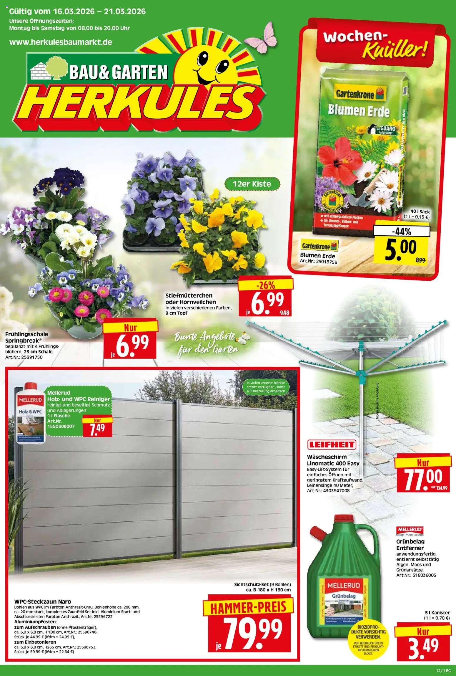 HERKULES Bau & Garten – gültig ab 16.03.2026 | Seite: 1 | Produkte: Stiefmutterchen, Blumen, Uhr
