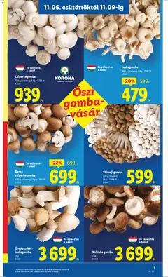 Csiperkegomba, 750 g/csomag - amely érvényes a következő dátumtól: 06.11.2025 | Oldal: 3