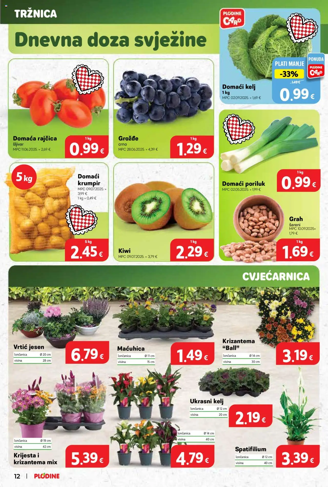 Plodine katalog | vrijedi od 17.09.2025 | Stranica: 12 | Proizvodi: Grah, Krumpir, Poriluk, Rajčica