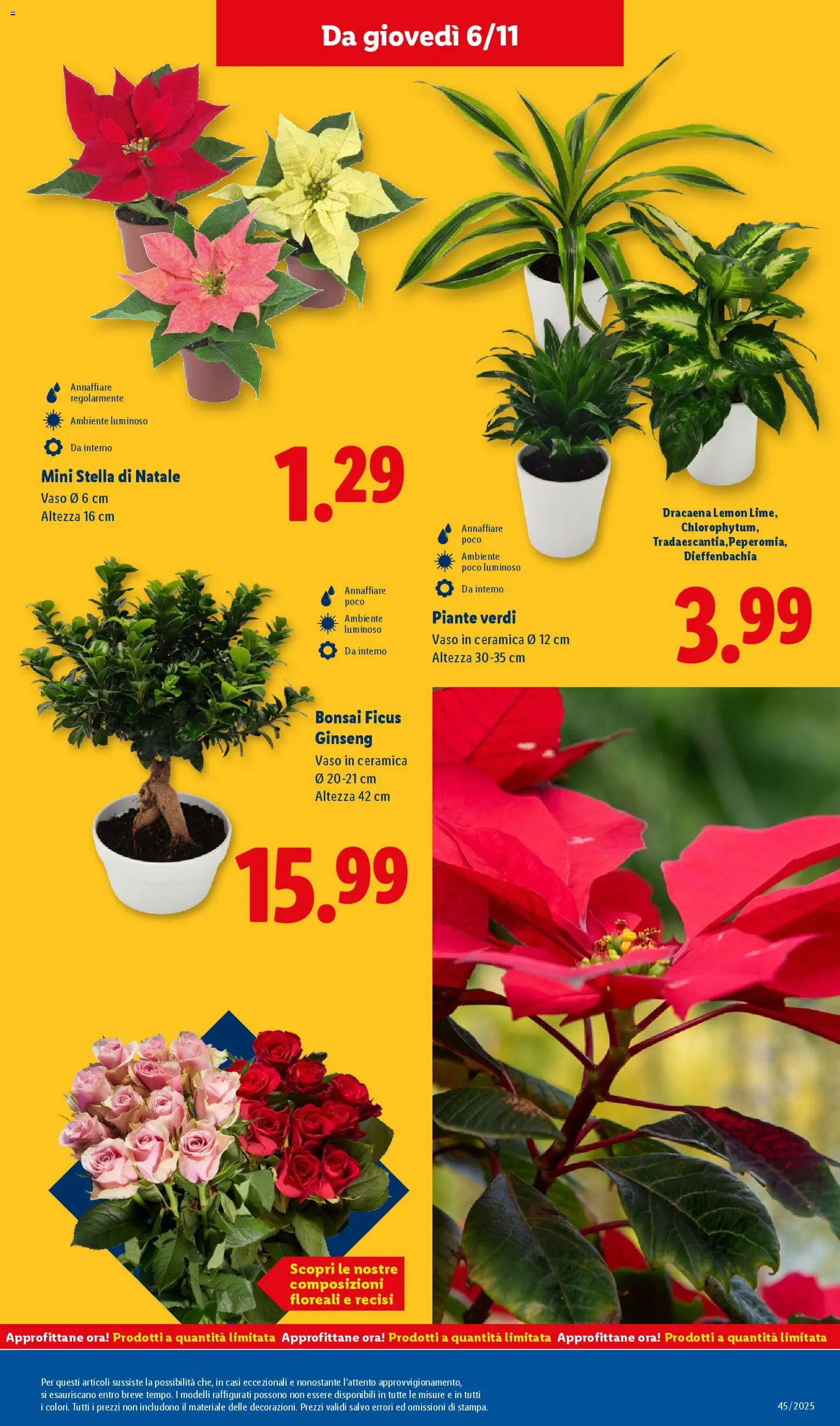 Volantino Lidl del 03.11.2025 | Pagina: 43