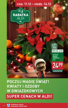 Pogląd oferty "Aldi Gazetka - Gwiazdy świątecznego stołu" - ważna od 08.12.2025 | Strona: 8 | Produkty: Doniczki, Kwiaty