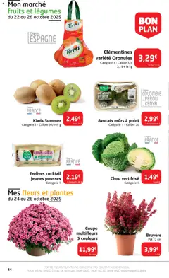Colruyt - Prévisualisation de Colruyt catalogue valide à partir de 22.10.2025 | Page: 34 | Produits: Avocats, Plantes, Fleurs et plantes, Endives
