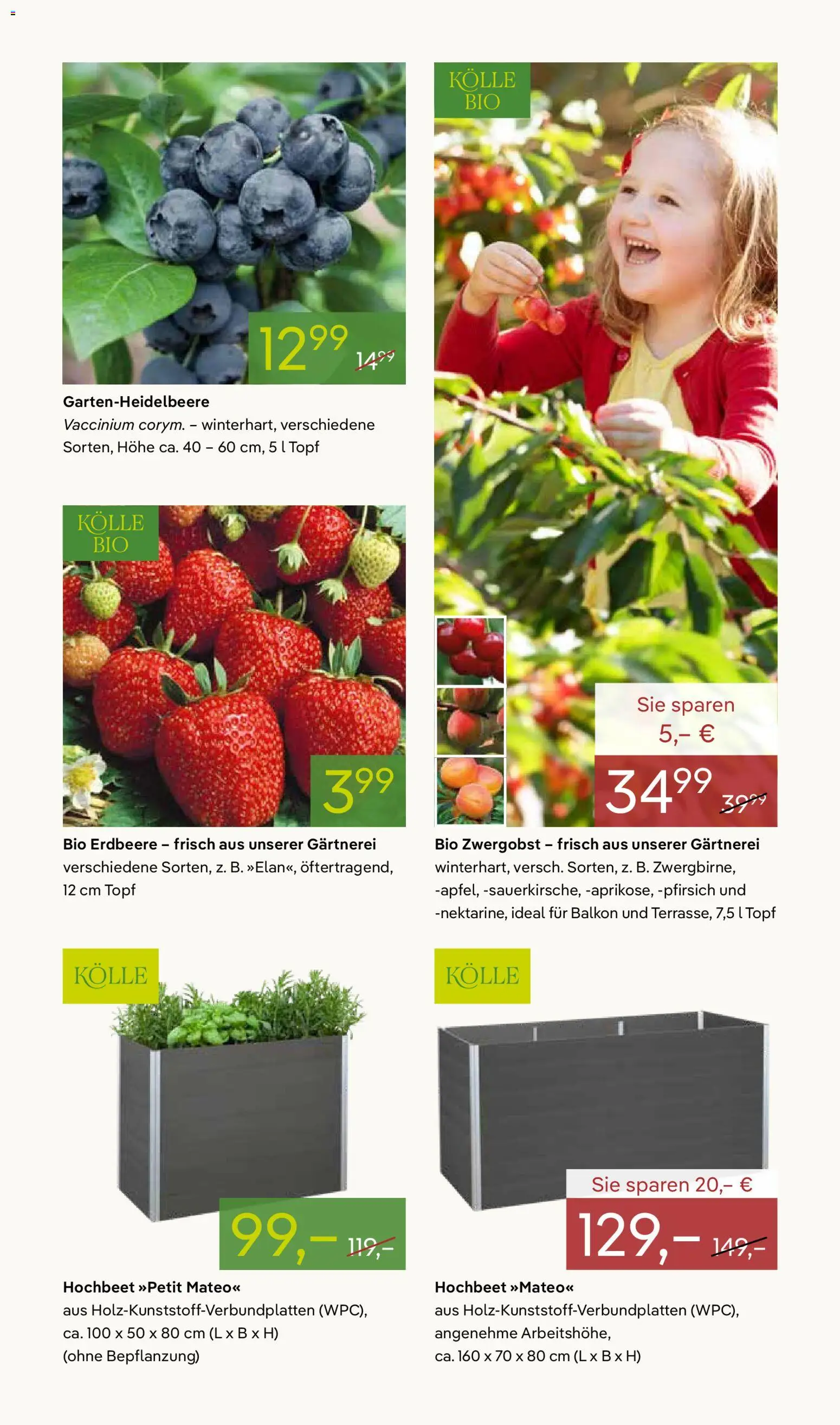 Pflanzen-Kölle Prospekt 	 – gültig ab 02.03.2026 | Seite: 9 | Produkte: Hochbeet, Pfirsich