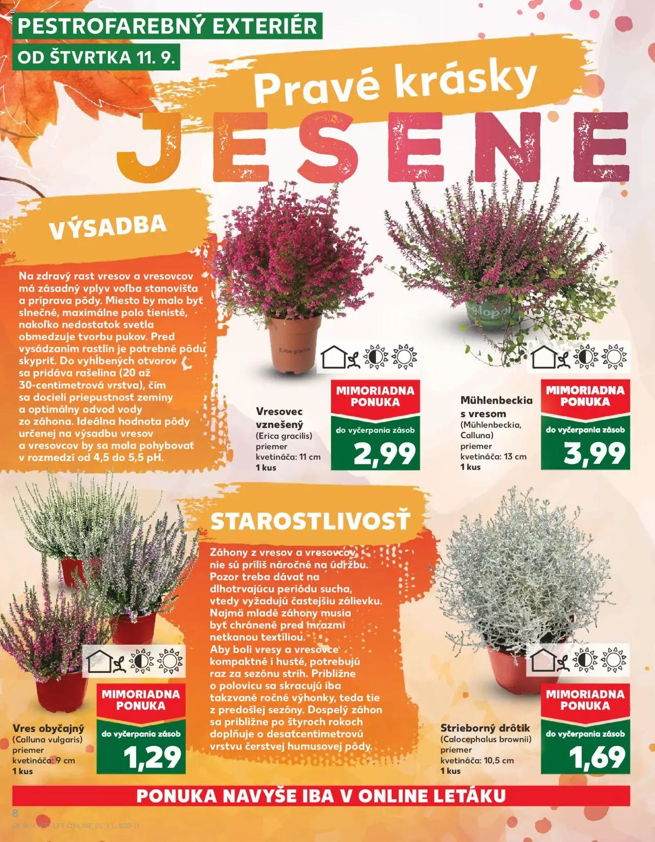 Nové Kaufland akcie – leták je platný od 11.09.2025 | Strana: 8 | Produkty: Svetlá