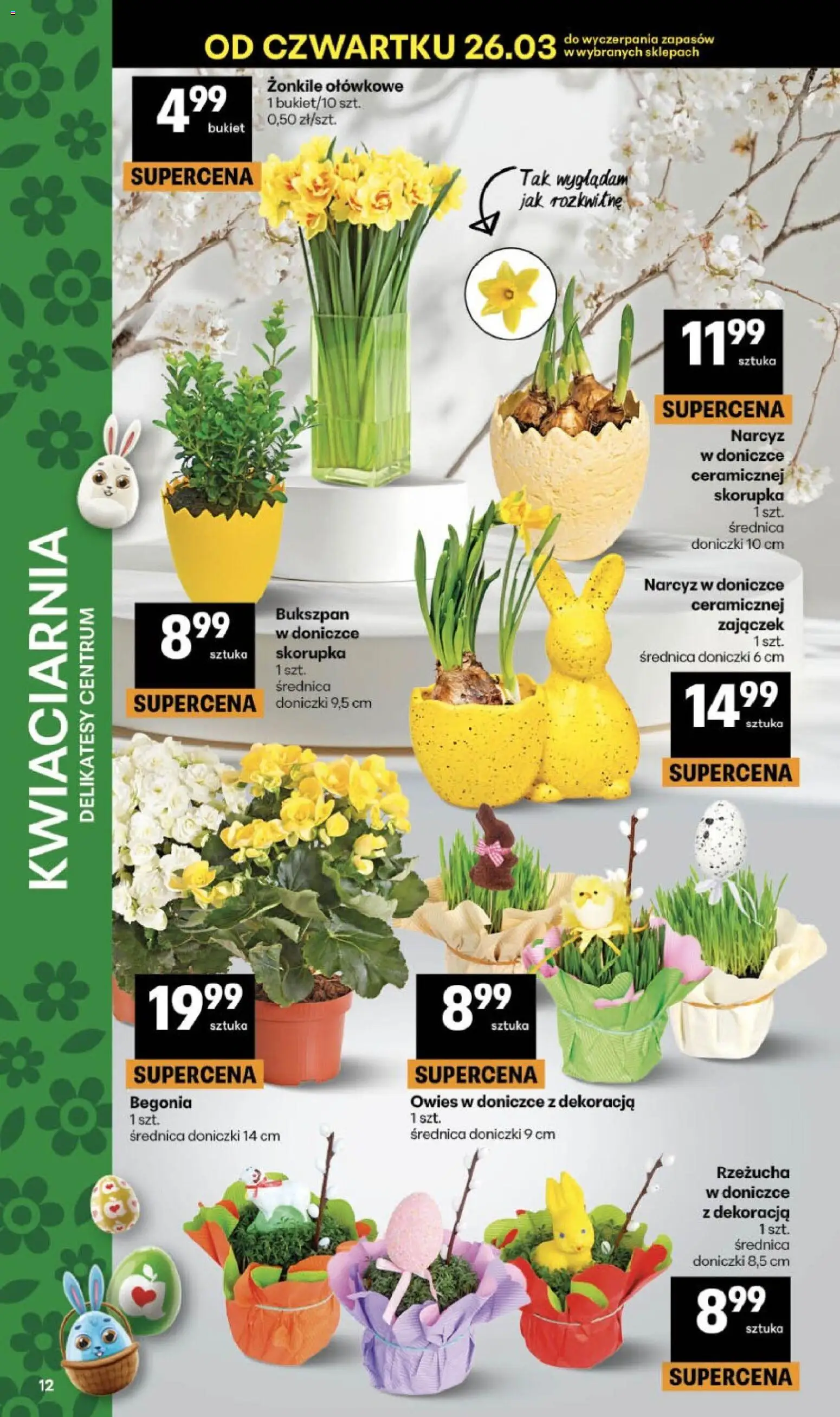 Delikatesy Centrum gazetka od 26.03.2026 | Strona: 12 | Produkty: Rzeżucha, Delikatesy, Doniczki