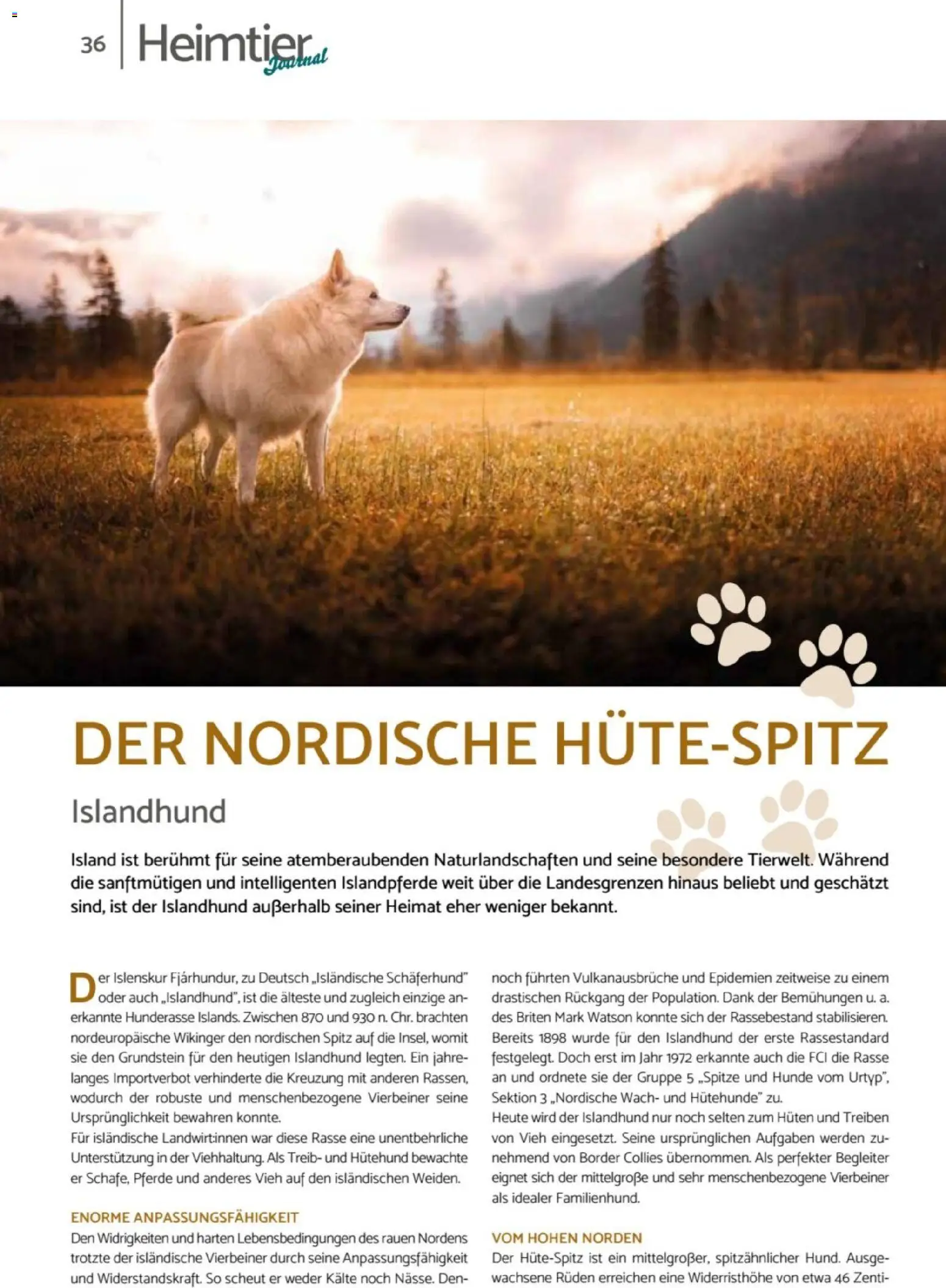 zookauf - Heimtier Journal – gültig ab 01.12.2025 | Seite: 36