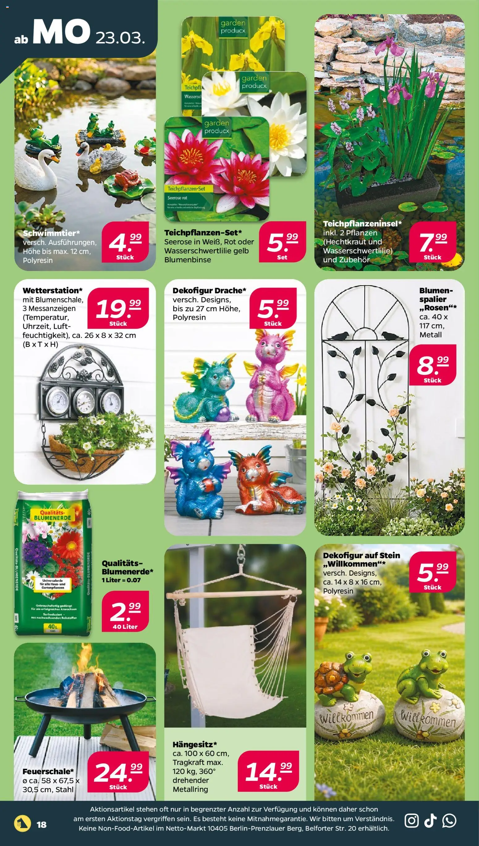 Netto Prospekt 	 – gültig ab 23.03.2026 | Seite: 24 | Produkte: Blumen, Blumenerde