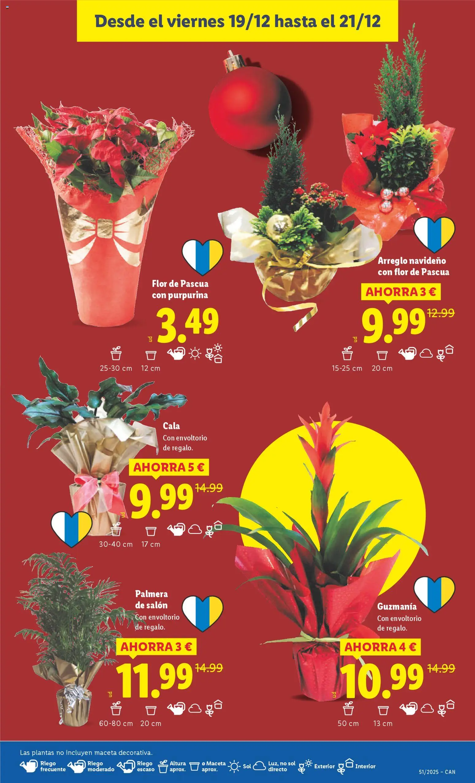 Lidl -Canarias │ válido desde el 15.12.2025 | Página: 47 | Productos: Maceta
