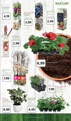 Tesco leták platný od 03.03.2026 | Strana: 3