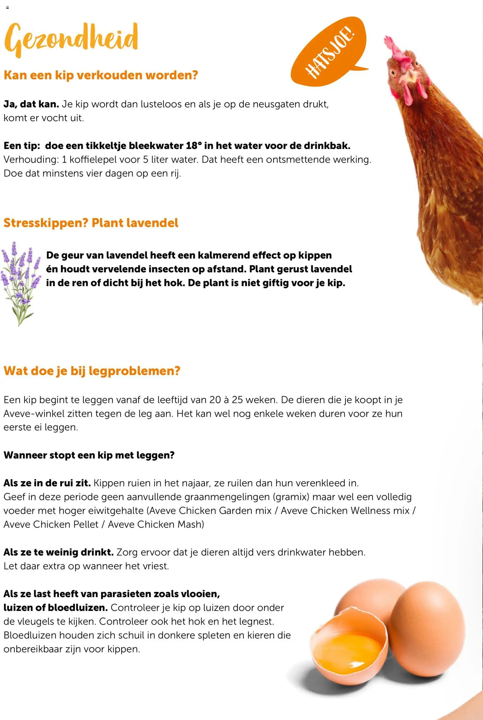 {H1} | Pagina: 6 | Producten: Kip, Geur, Kan