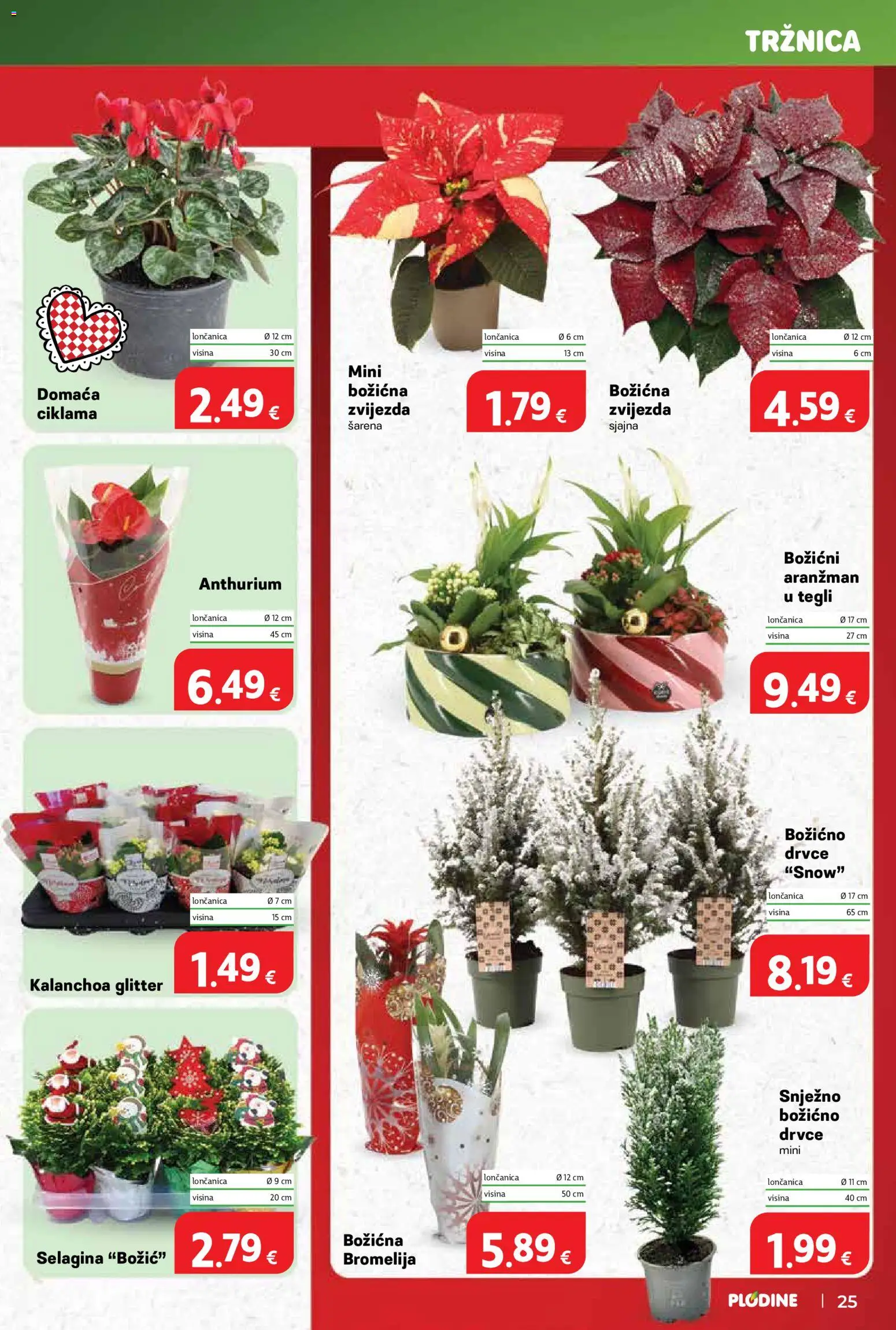 Plodine katalog | vrijedi od 10.12.2025 | Stranica: 25