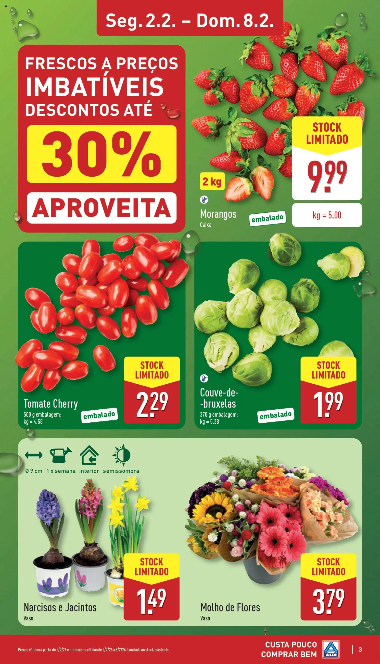 Aldi folheto │ válido de 02.02.2026 | Página: 3 | Produtos: Flores, Vaso, Tomate, Morangos