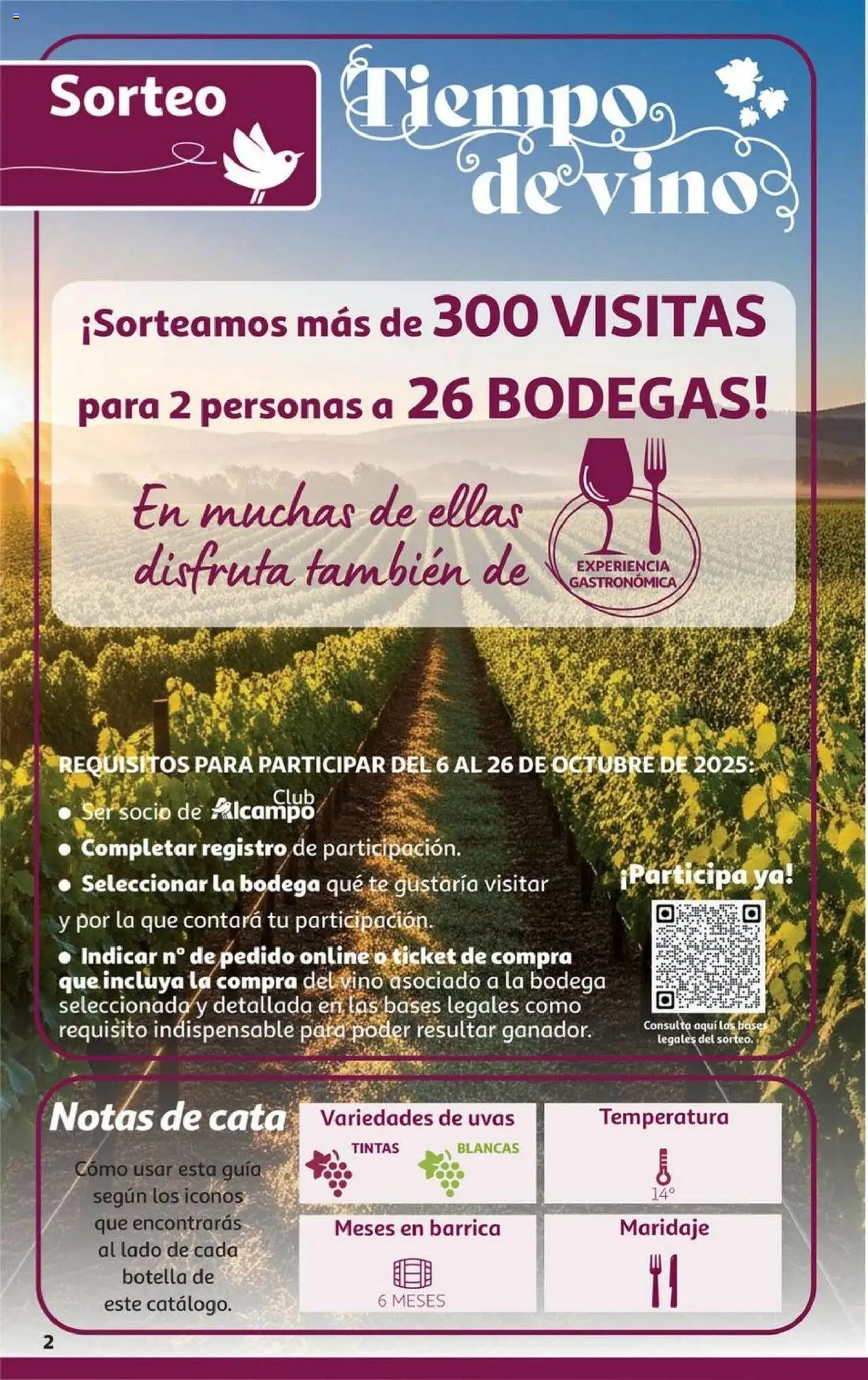 Alcampo - HP Castilla La Mancha │ válido desde el 06.10.2025 | Página: 2 | Productos: Τζίντζερ, Vino, Té