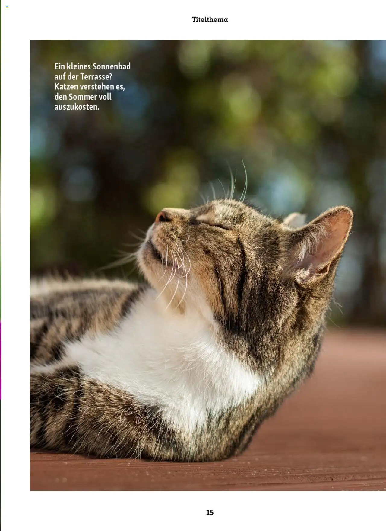 Fressnapf Magazin ab 01.07.2025 | Seite: 15