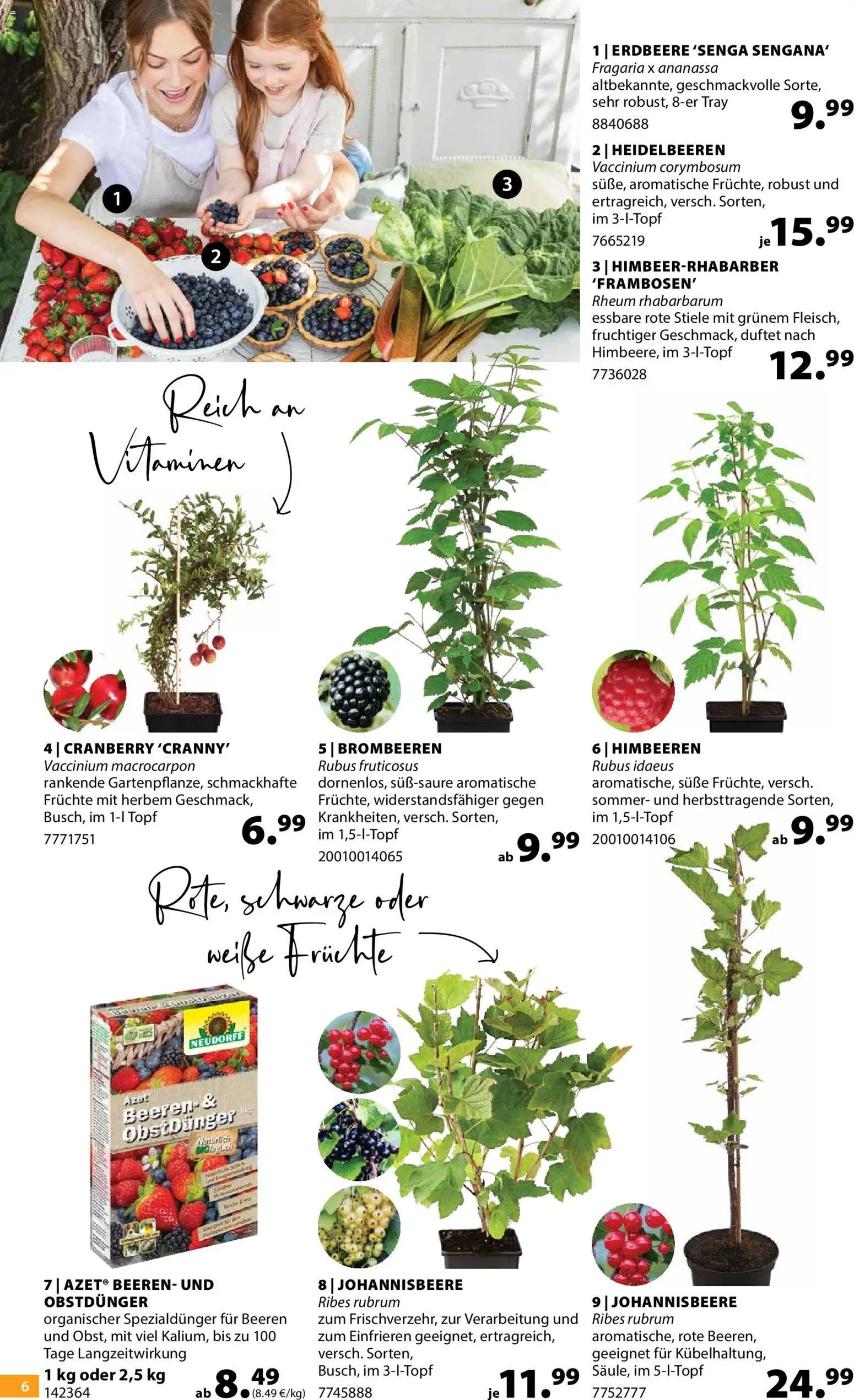 Dehner Prospekt 	 – gültig ab 22.04.2026 | Seite: 6 | Produkte: Himbeeren, Heidelbeeren