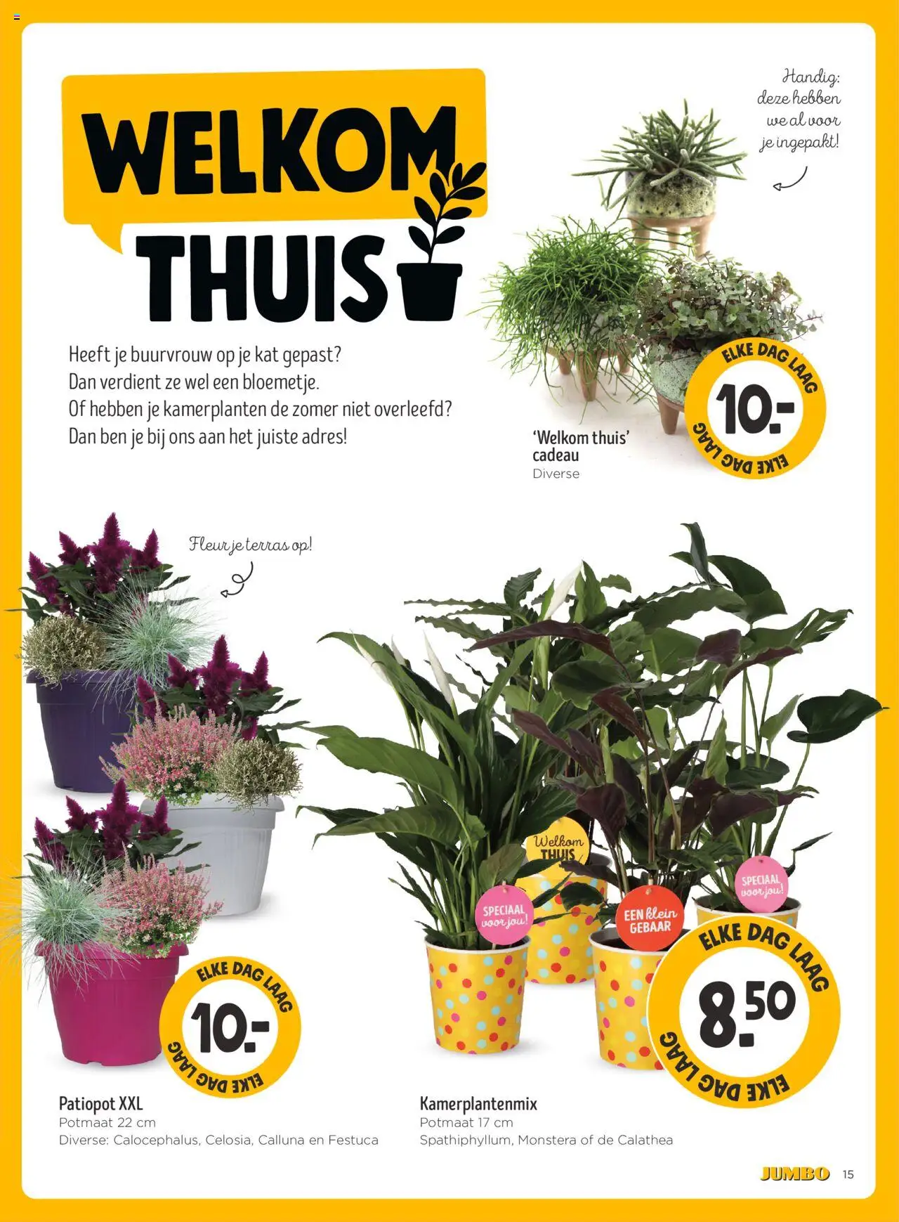  | Pagina: 15 | Producten: Kamerplanten