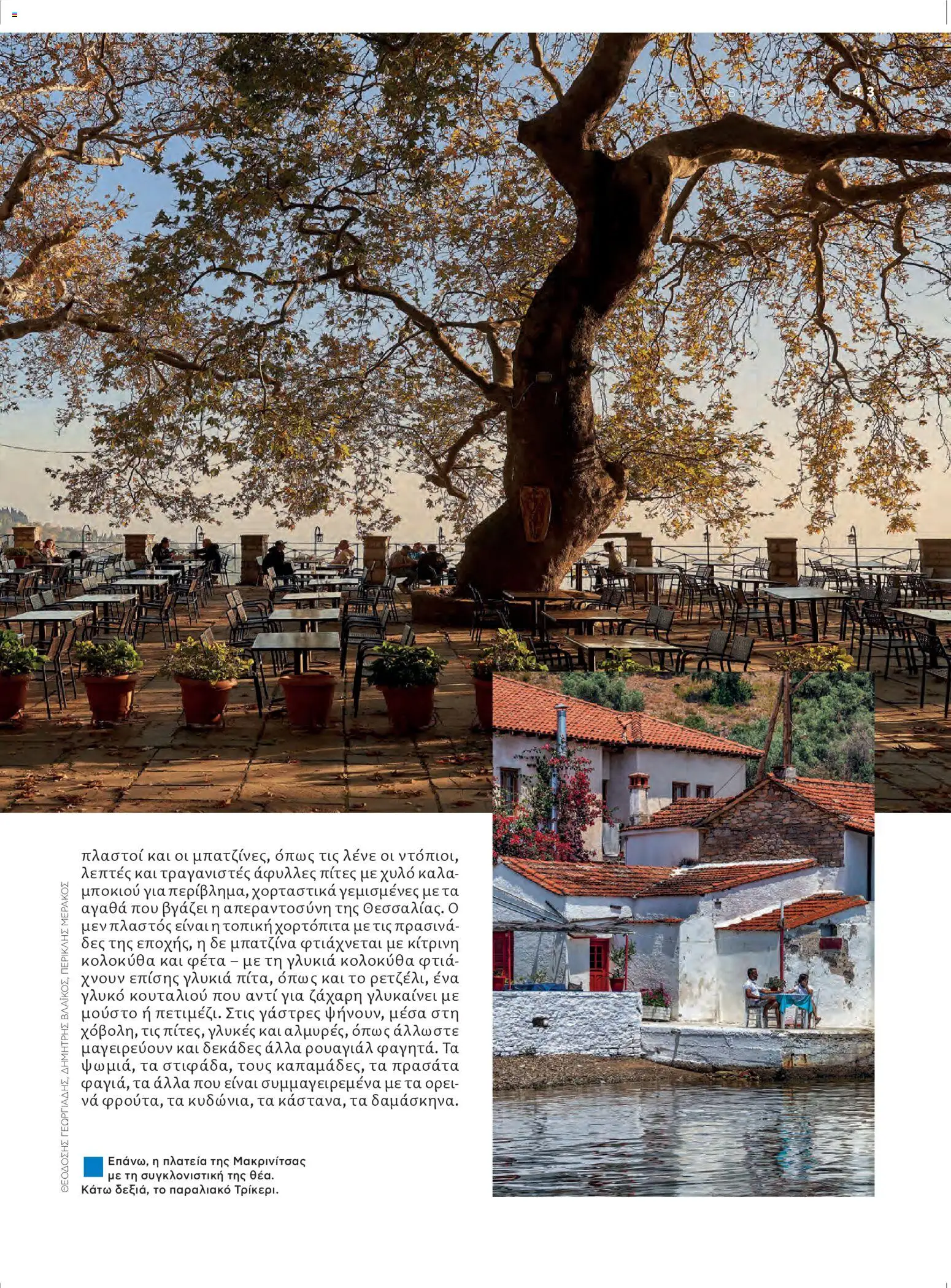  | Σελίδα: 45 | Προϊόντα: Πίτες, Φέτα, Κολοκύθα, Ζάχαρη