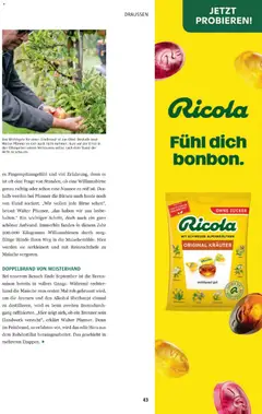 Sutterlüty B’sundrig Magazine ab 17.11.2025 gültig | Seite: 43 | Produkte: Zucker, Birne