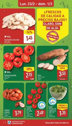 Vista previa Hojas frescas de espinacas, Fresh spinach leaves, origin Spain, Canary Islands, Category: I, 250 g válido desde el 23.02.2026 | Página: 4 | Productos: Πορσελάνη, Ensalada, Παγωμένο τσάι