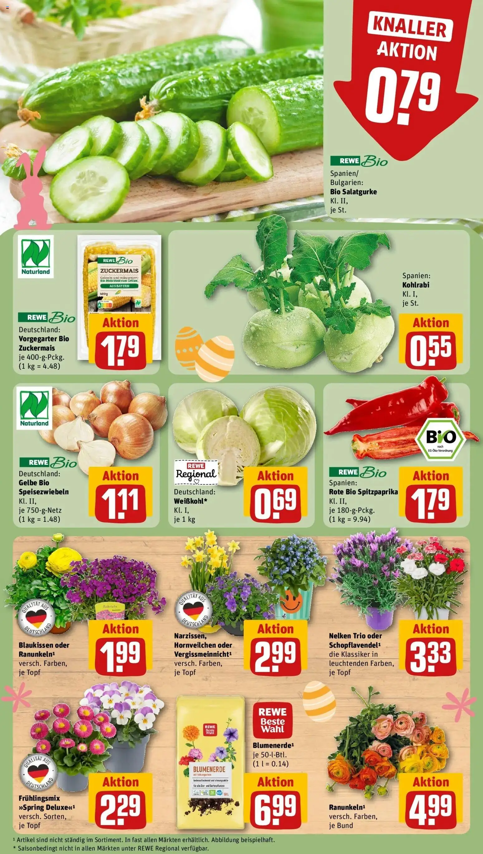 Rewe Prospekt Bochum	 – gültig ab 23.03.2026 | Seite: 5 | Produkte: Kohlrabi, Blumenerde