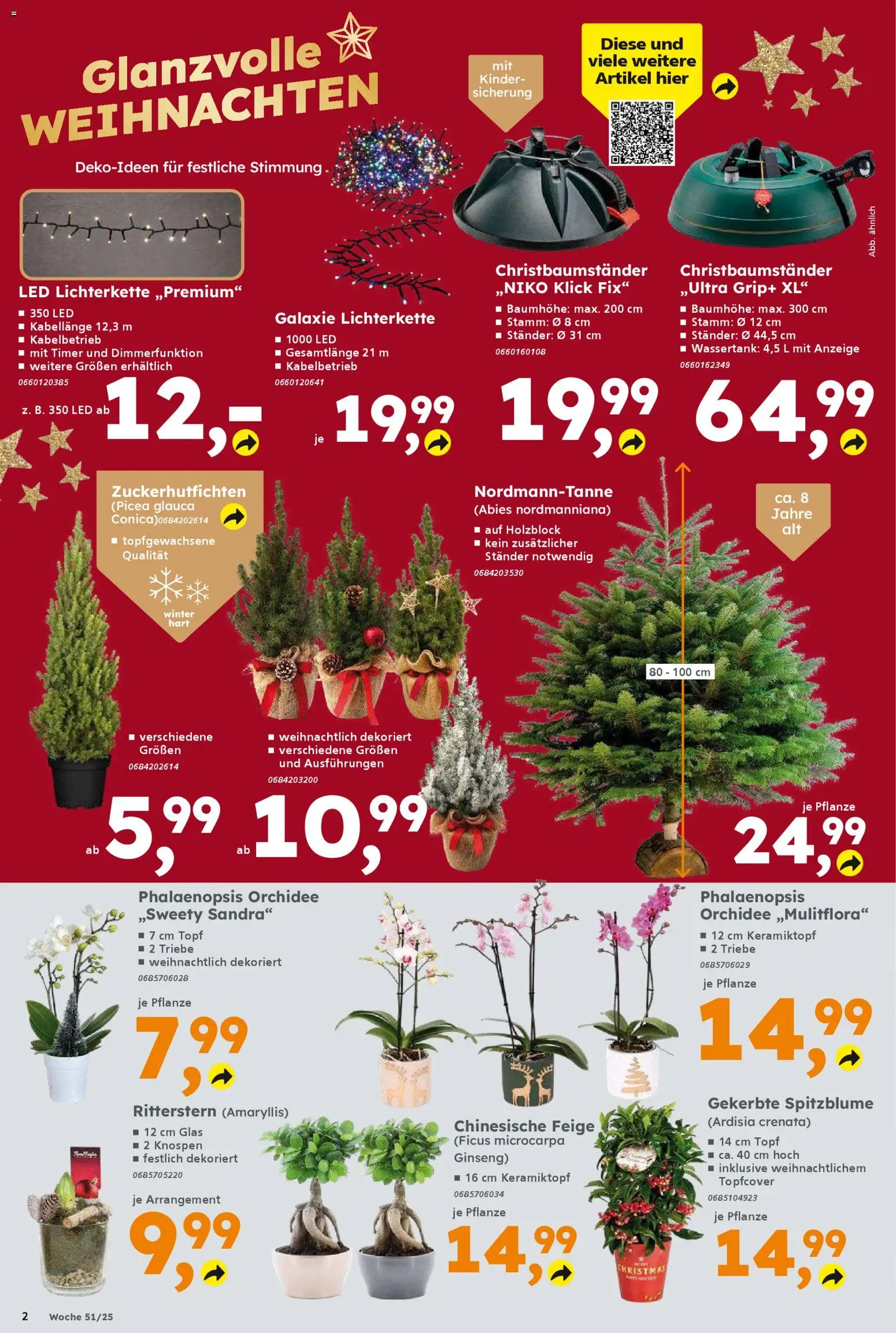 Globus Baumarkt Prospekt 	 – gültig ab 15.12.2025 | Seite: 2 | Produkte: Orchidee