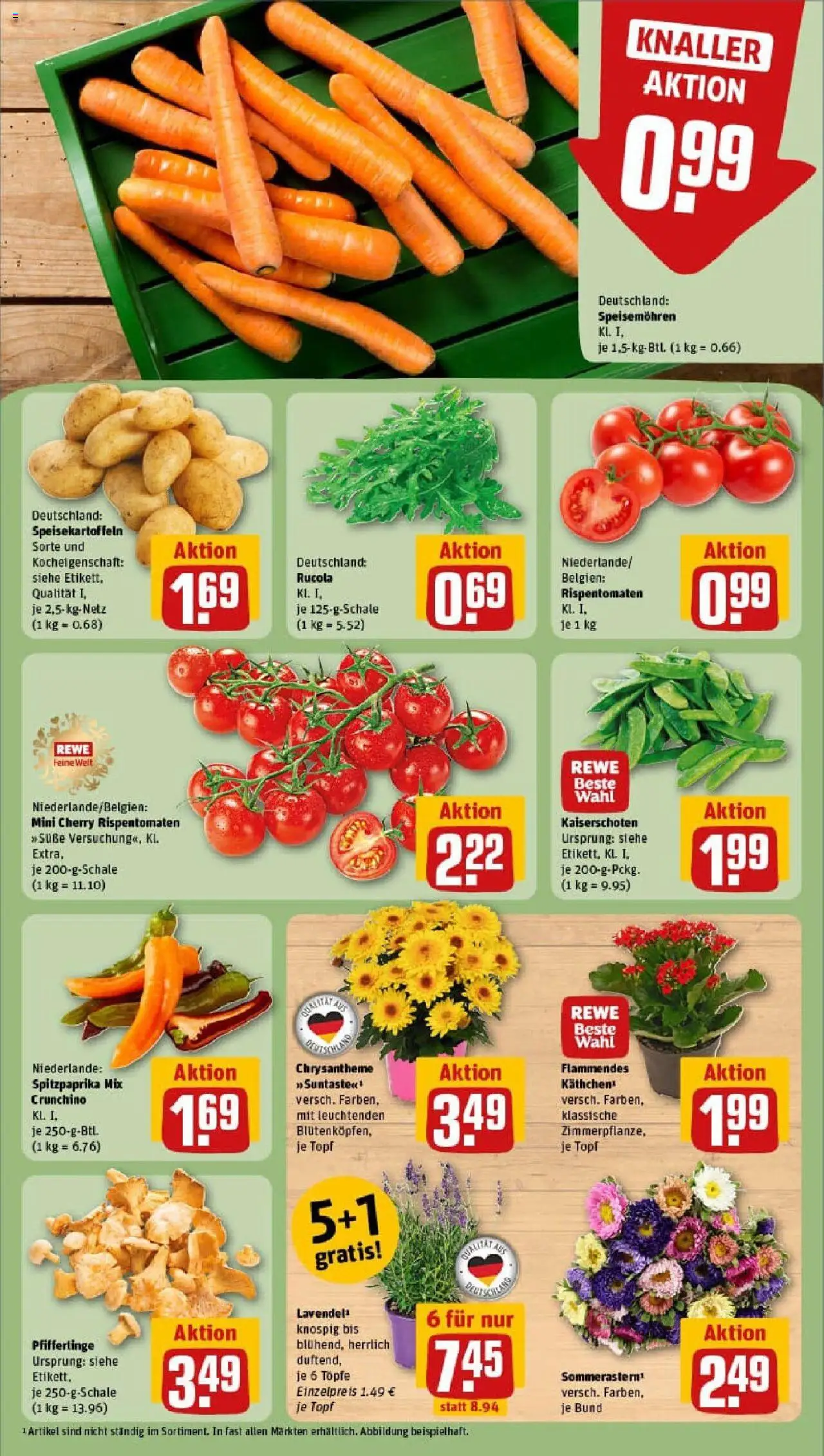Rewe prospekt Hainburg / Klein-Krotzenburg	 – gültig ab 17.08.2025 | Seite: 7 | Produkte: Rucola, Pfifferlinge, Lavendel