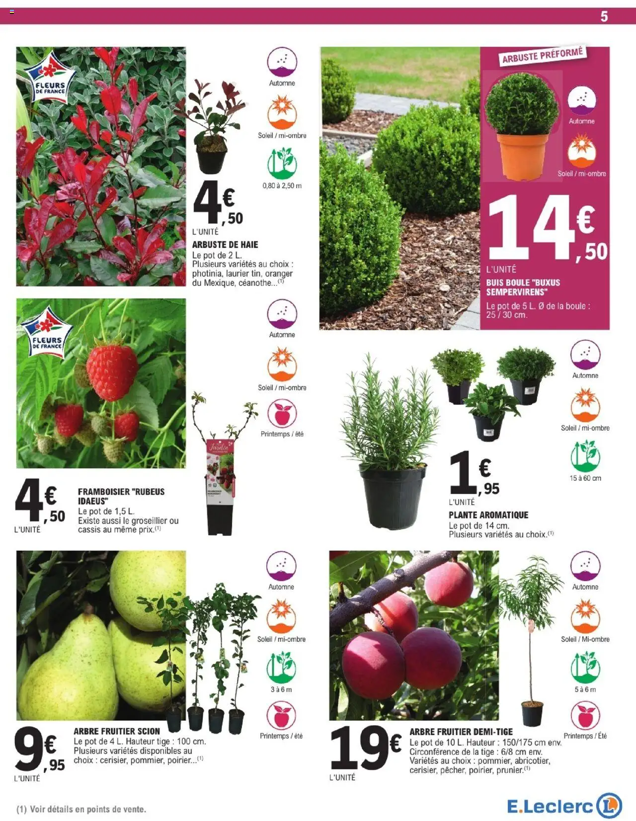  | Page: 5 | Produits: Arbre fruitier, Cassis