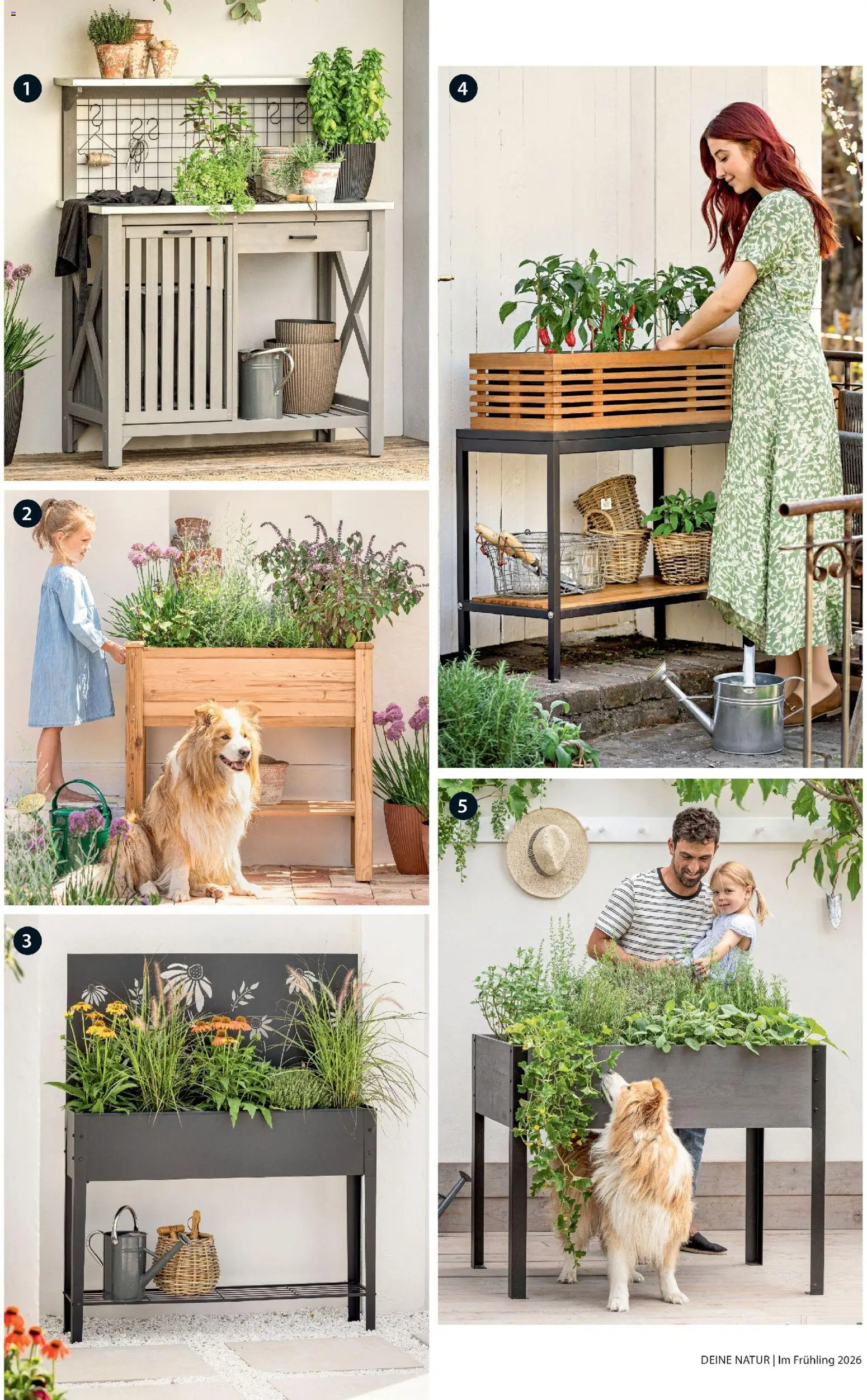 Dehner Flugblatt gültig ab 05.03.2026 | Seite: 18