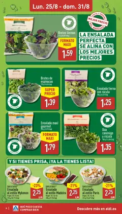 Aldi folleto Península │ válido desde el 25.08.2025 | Página: 8 | Productos: Πορσελάνη, Ensalada