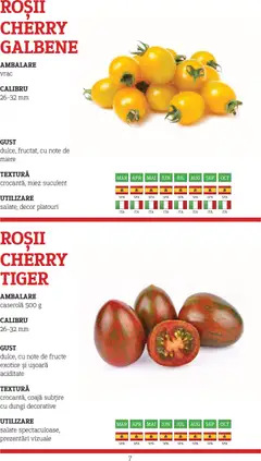 Ofertele Metro valabile de la 10.11.2025 | Pagină: 7 | Produse: Roșii, Fructe