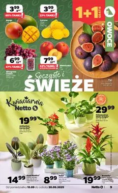 Netto gazetka - Spożywcza od 15.09.2025 | Strona: 9