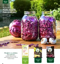 Náhled letáku Albert magazín od 01.10.2025 | Strana: 40 | Produkty: Vegan, Zelí, Kysané zelí