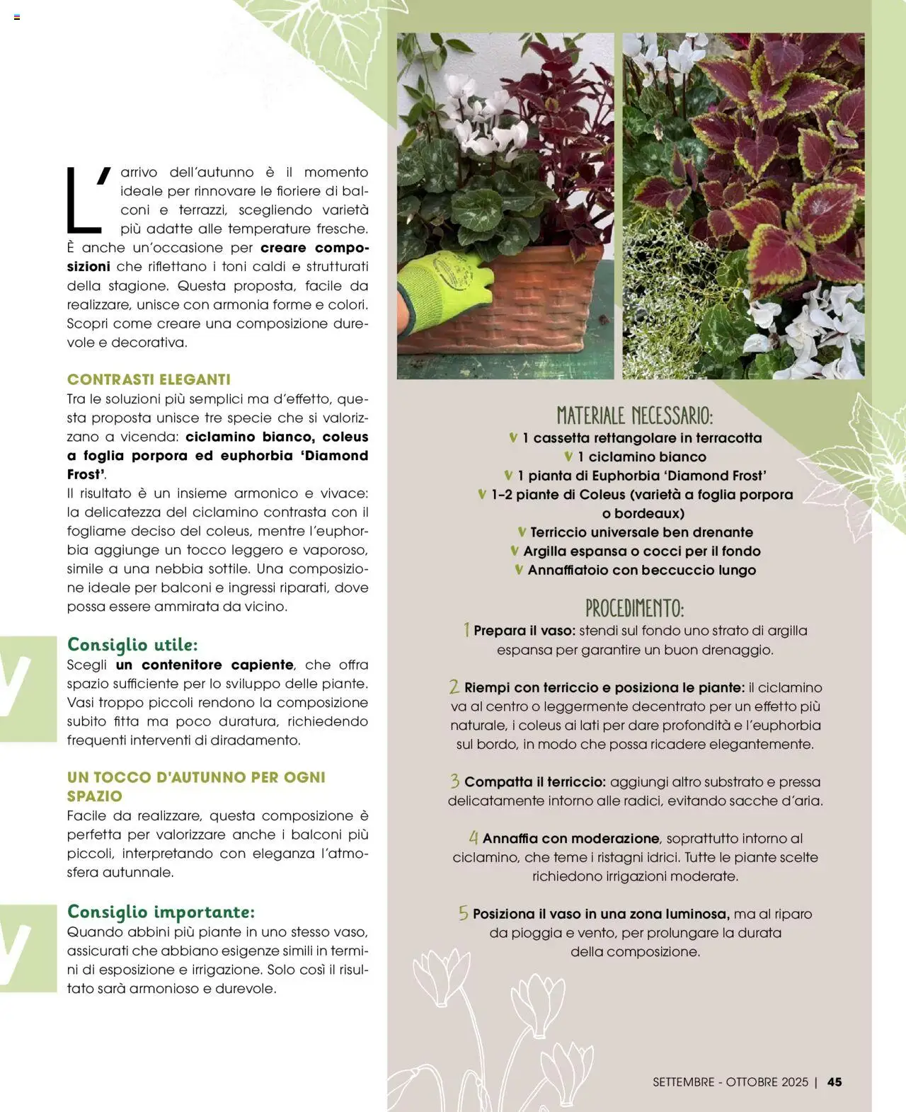 Volantino Elite Supermercati del 01.09.2025 | Pagina: 45 | Prodotti: Annaffiatoio, Contenitore, Terriccio, Vaso