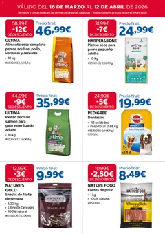 Vista previa Costco folleto válido desde el 16.03.2026 | Página: 9 | Productos: Cereales, Peso, Filete