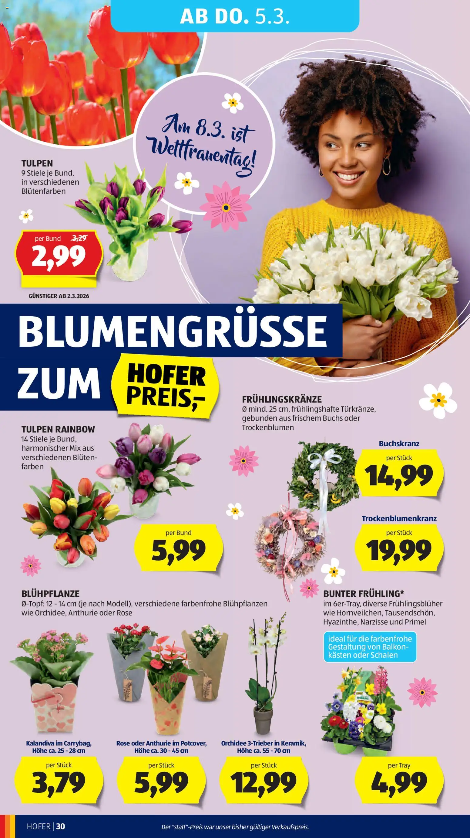 Hofer Flugblatt gültig ab 25.02.2026 | Seite: 34