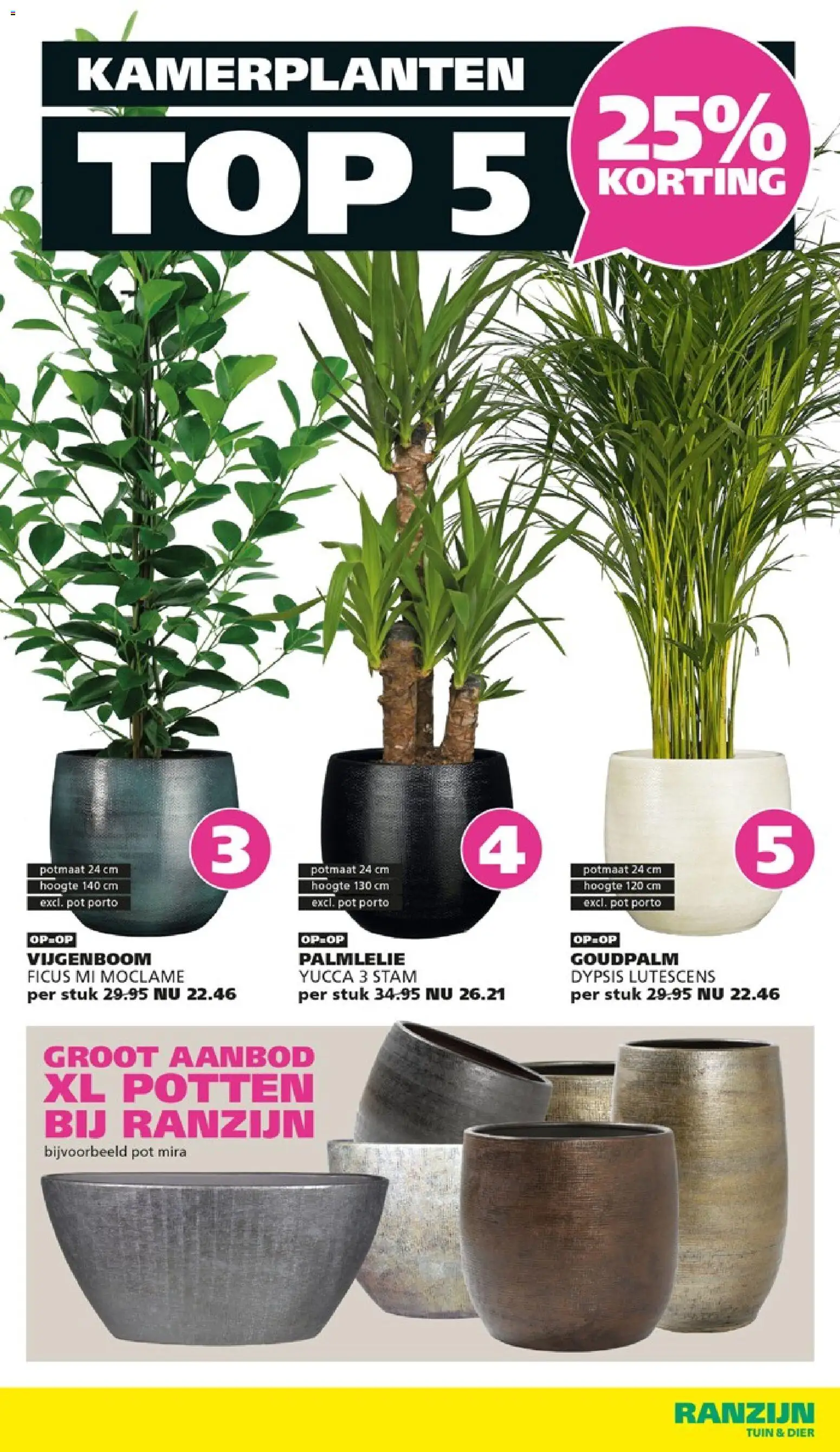 {H1} | Pagina: 3 | Producten: Pot, Kamerplanten