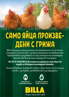 Преглед на САМО ЯЙЦА ПРОИЗВЕДЕНИ С ГРИЖА, BILLA България ще предлага само яйца от подово и свободно отглеждани кокошки. - Офертите са валидни от 16.04.2026 | Страница: 19