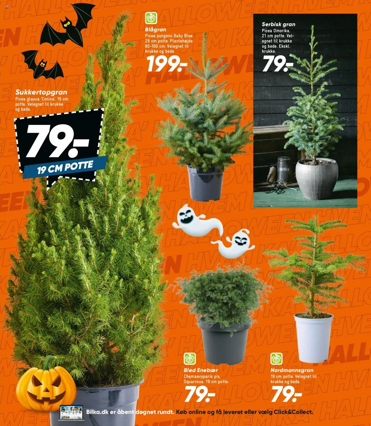 Bilka tilbudsavis – gyldig fra 17.10.2025 | Side: 39 | Produkter: Krukke