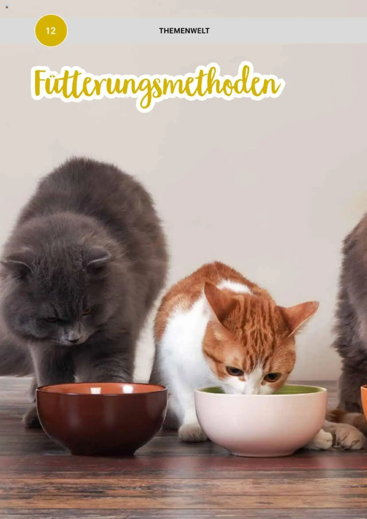 zookauf Themenkatalog Katze – gültig ab 01.10.2025 | Seite: 12
