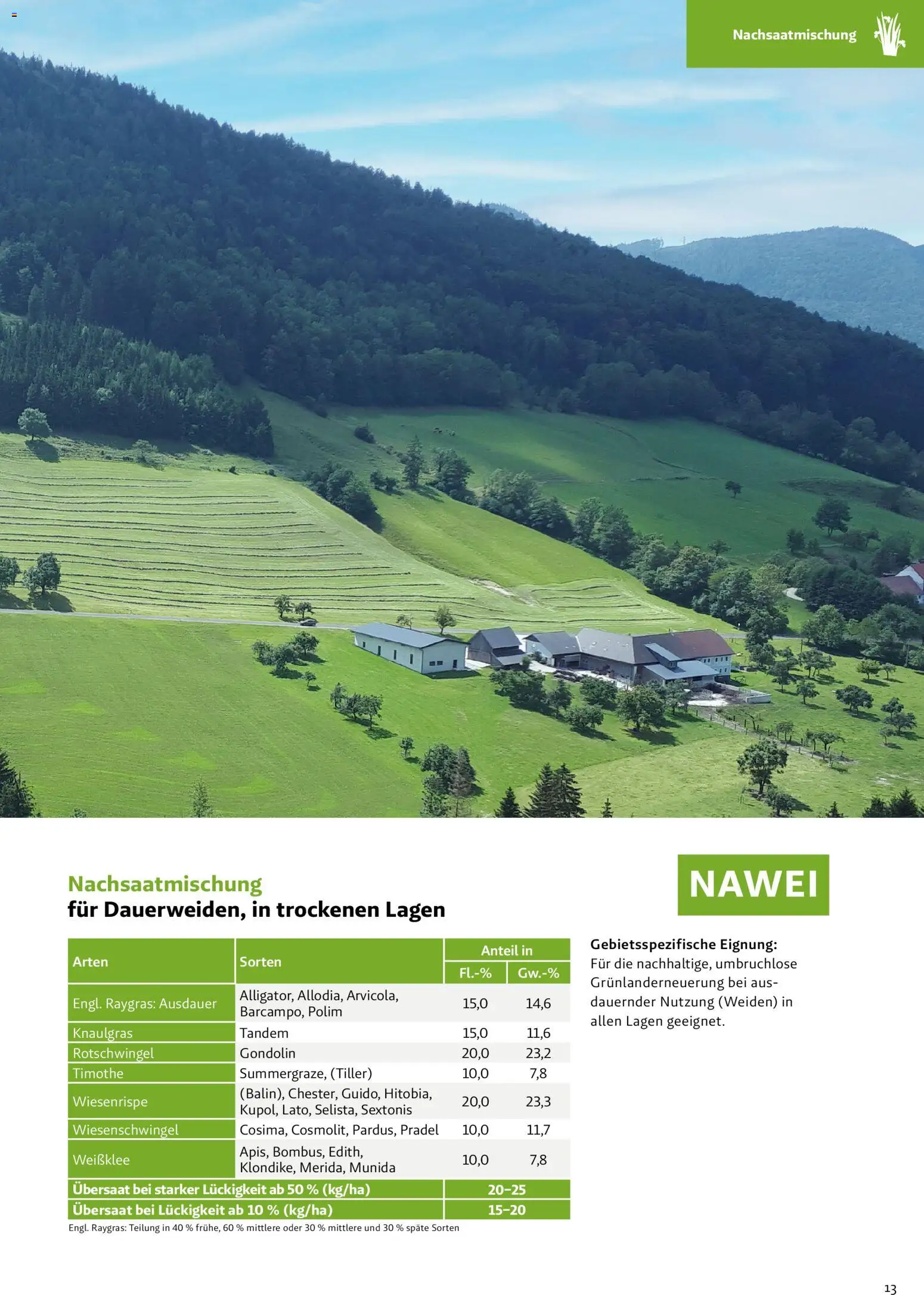 Lagerhaus Grünland  2026 / 2027 / 2028 gültig ab 01.09.2026 | Seite: 13