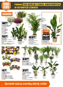 OBI Gazetka od 10.09.2025 | Strona: 10 | Produkty: Zamiokulkas, Wrzos, Rosliny