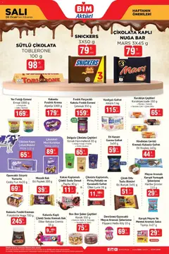 06.01.2025 tarihinden itibaren geçerli olan BİM kataloğu önizlemesi | Sayfa: 2
