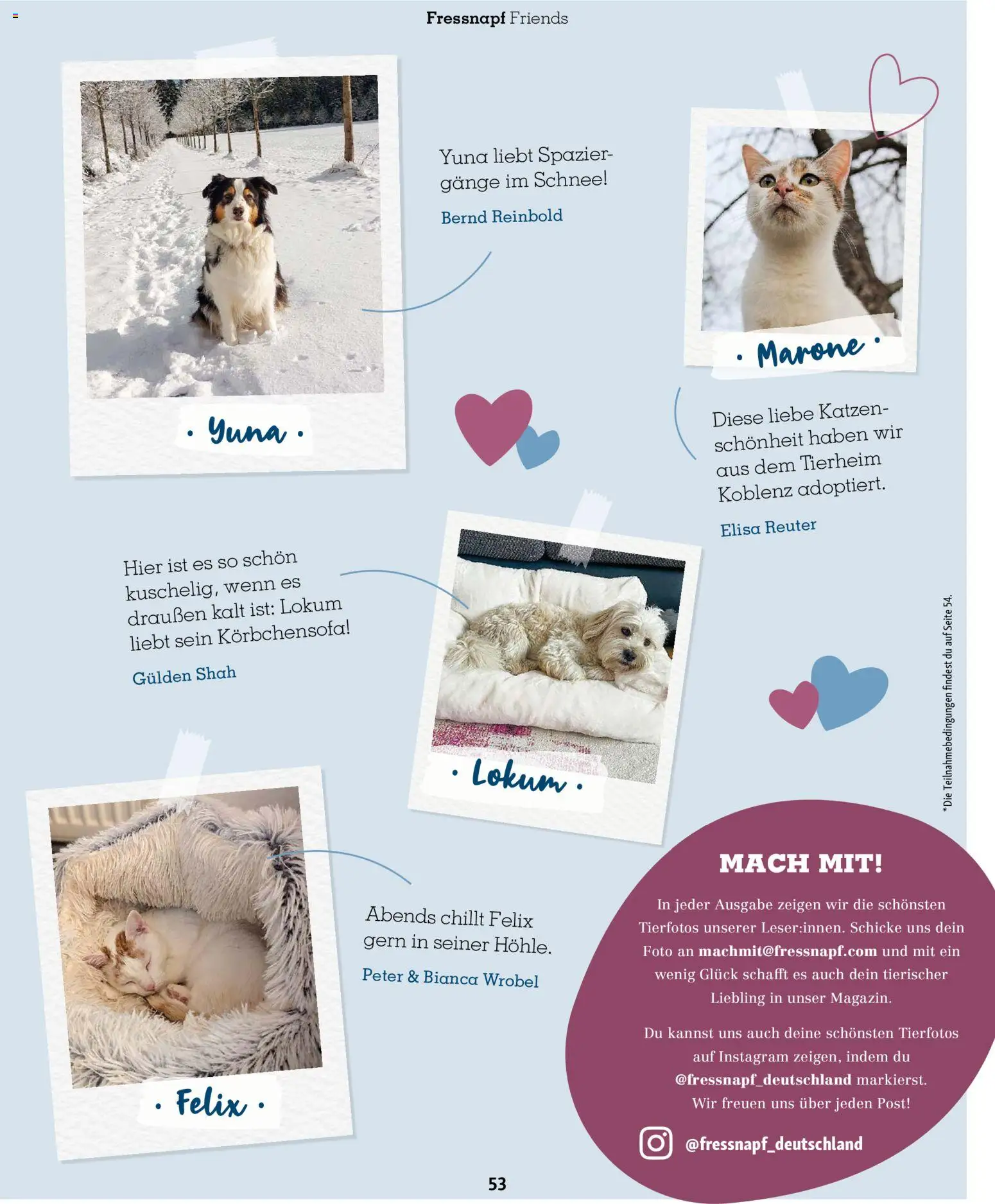 Fressnapf Friends Magazin – gültig ab 01.01.2026 | Seite: 53