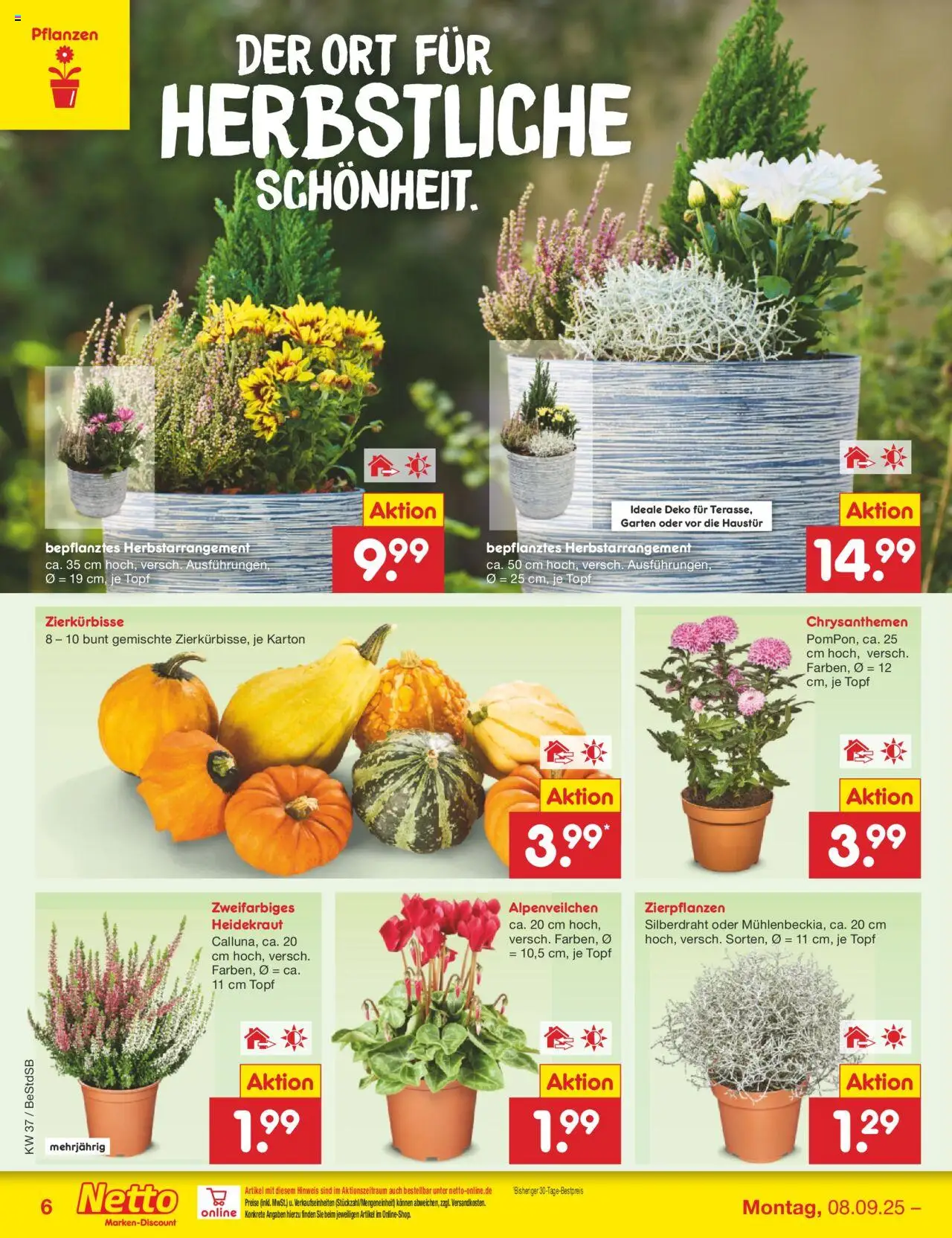 Netto Marken-Discount Prospekt 	 – gültig ab 08.09.2025 | Seite: 8