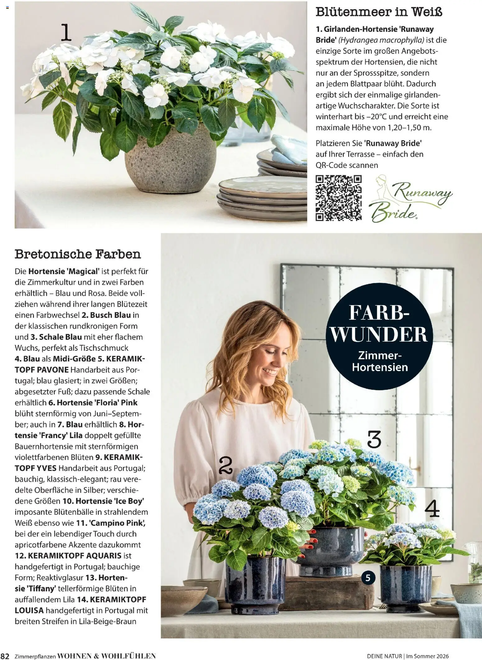 Dehner Prospekt 	 – gültig ab 17.04.2026 | Seite: 82 | Produkte: Hortensie