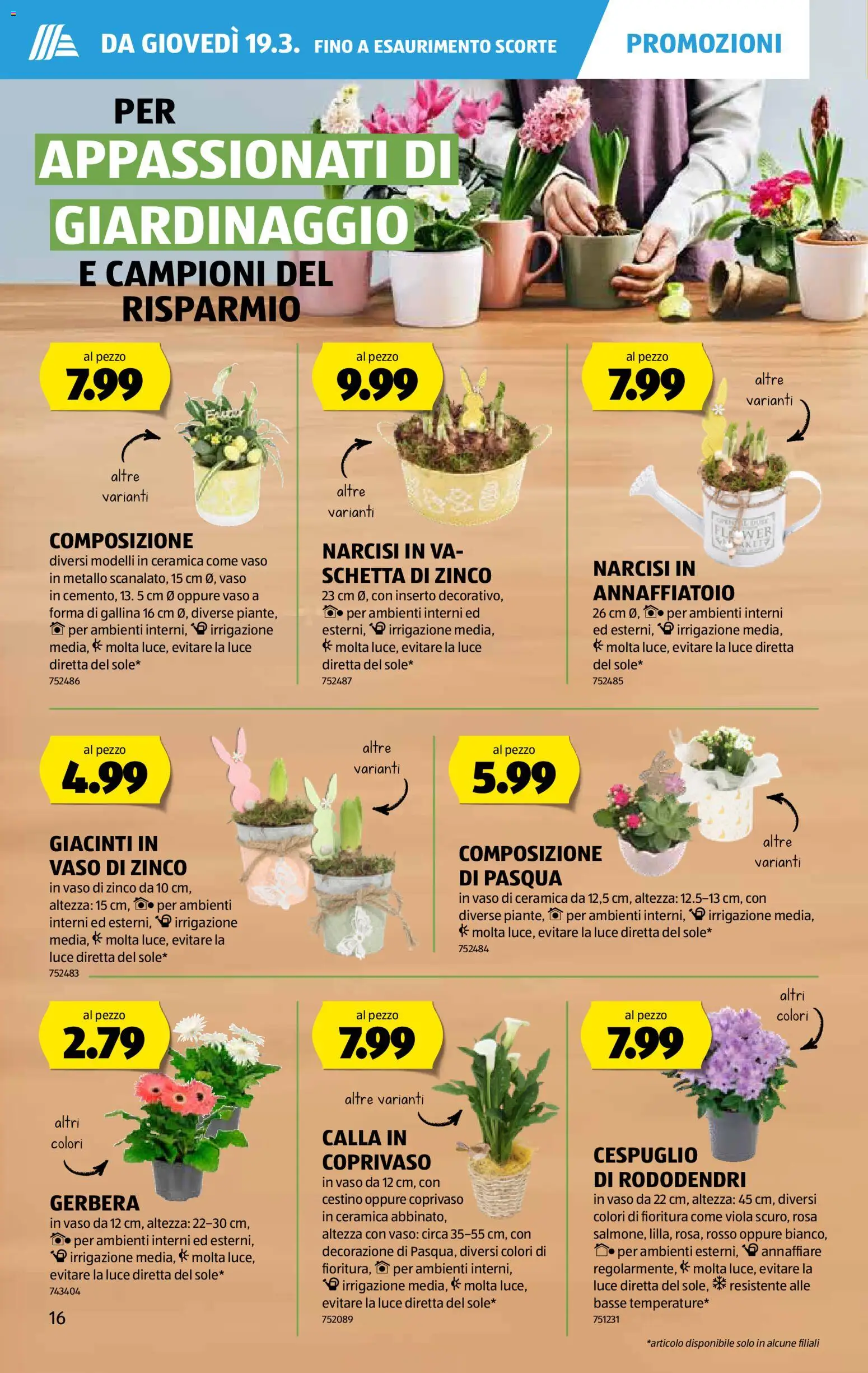 Aldi aktionen IT – gültig ab 19.03.2026 | Seite: 17