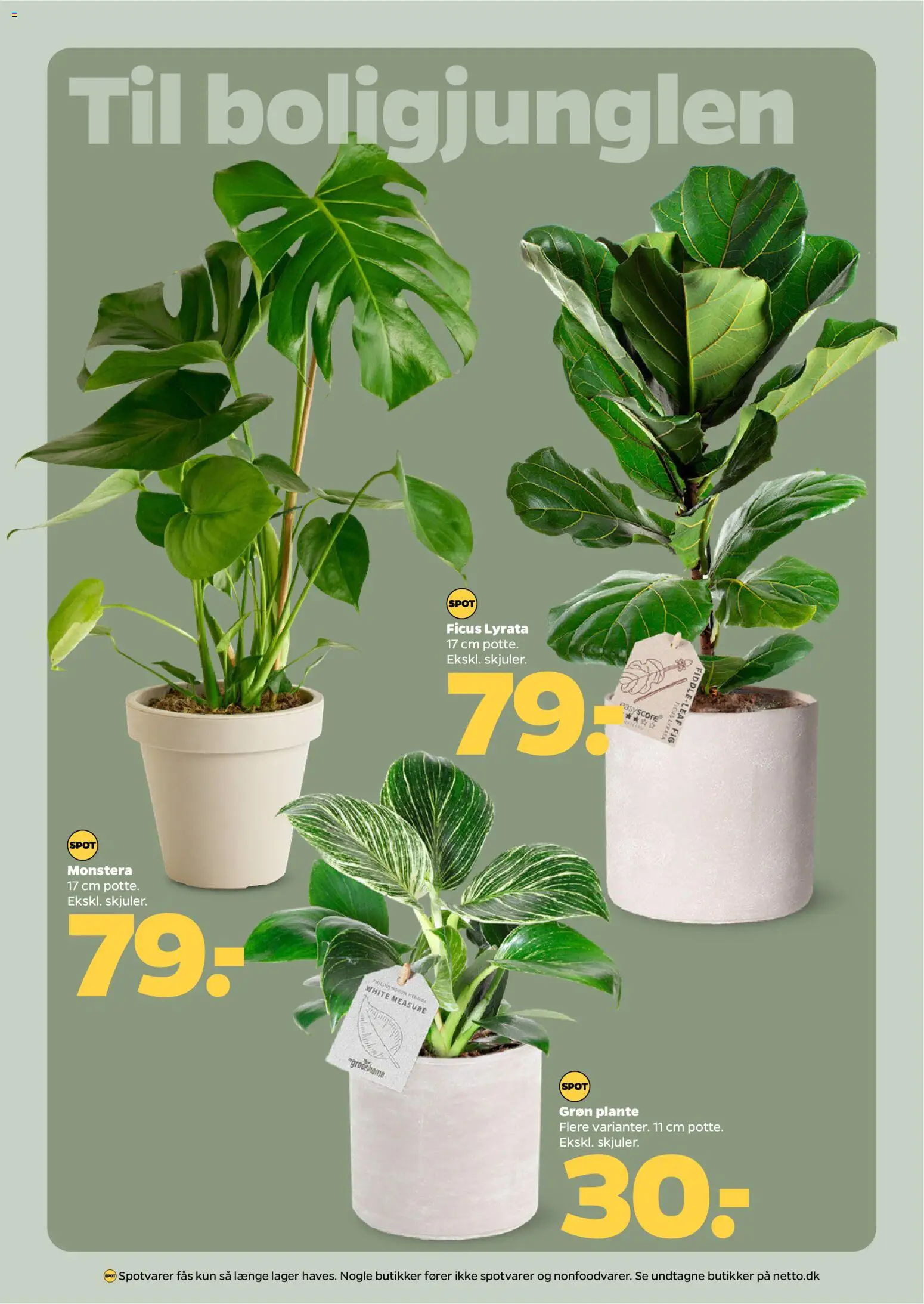 Netto tilbudsavis – gyldig fra 17.01.2026 | Side: 25