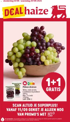 Delhaize folder week 33 - Voorbeeld van een folder van Delhaize, geldig van 14.08.2025